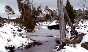 frozen stream (Large)